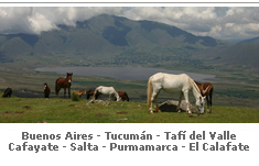 Programa turismo Argentina